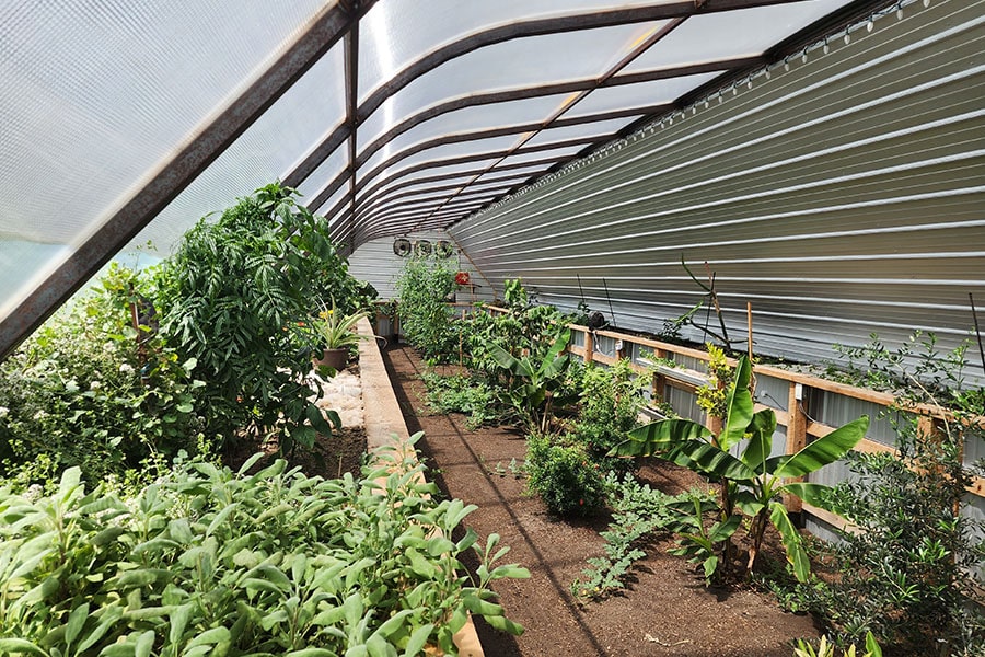 interior view of a greenhouse built by Greenhouse in the Snow in Armstrong BC