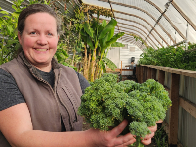 broccoli harvested in the greenhouse