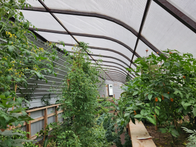 interior of the greenhouse in the snow