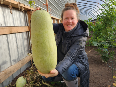 chelsea with a winter harvest in the greenhouse