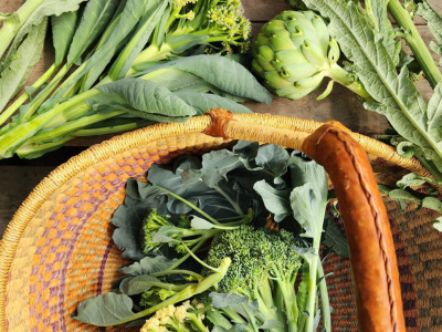 basket full of harvested vegetables from the greenhouse